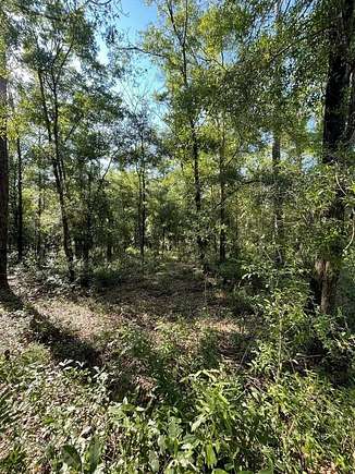2.3 Acres of Land for Sale in Bronson, Florida