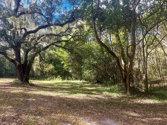 16.2 Acres of Land for Sale in Belleview, Florida