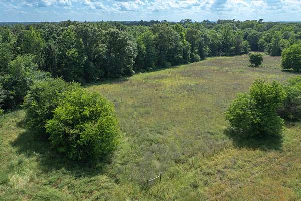 10 Acres of Land for Sale in Gilmer, Texas