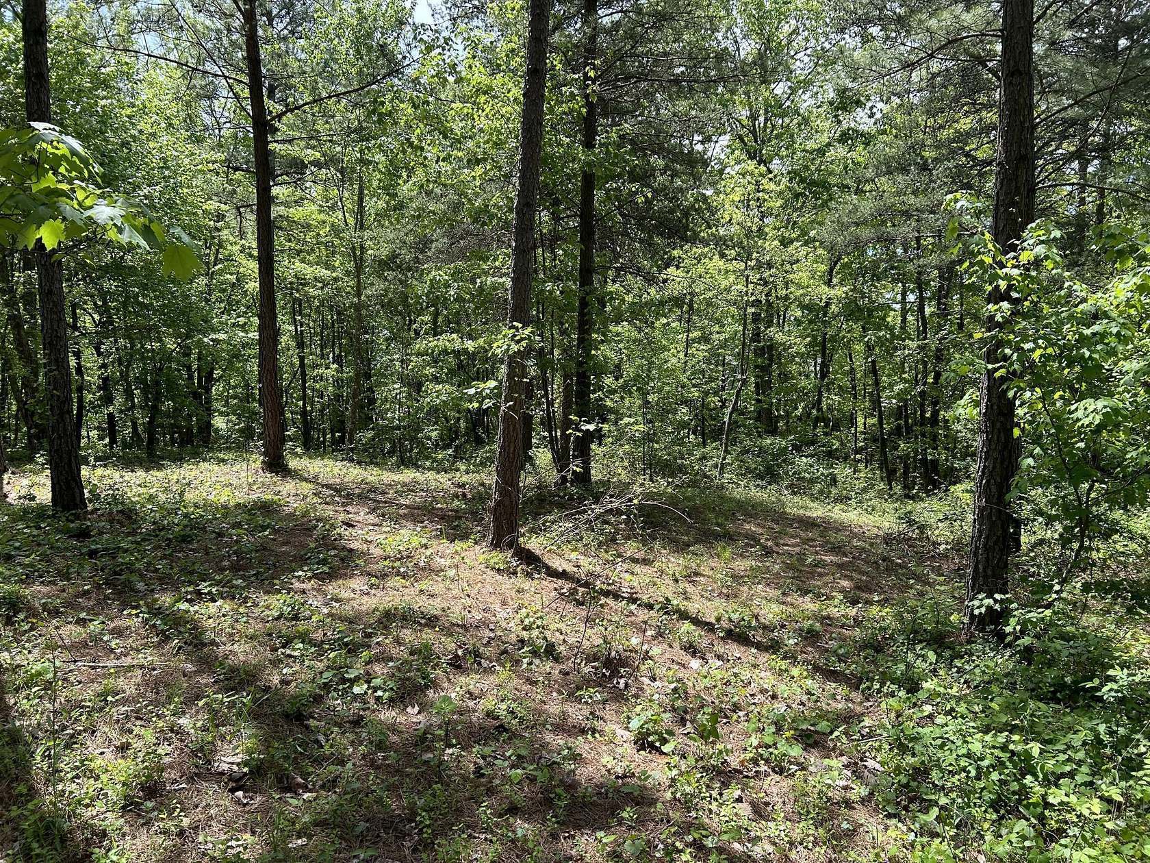 1.66 Acres of Residential Land for Sale in Jasper, Tennessee