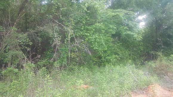 4 Acres of Land for Sale in Cantonment, Florida