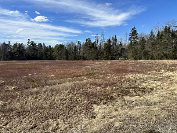 22 Acres of Land for Sale in Aurora, Maine