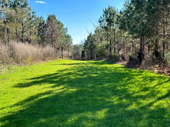 102 Acres of Land for Sale in Millport, Alabama