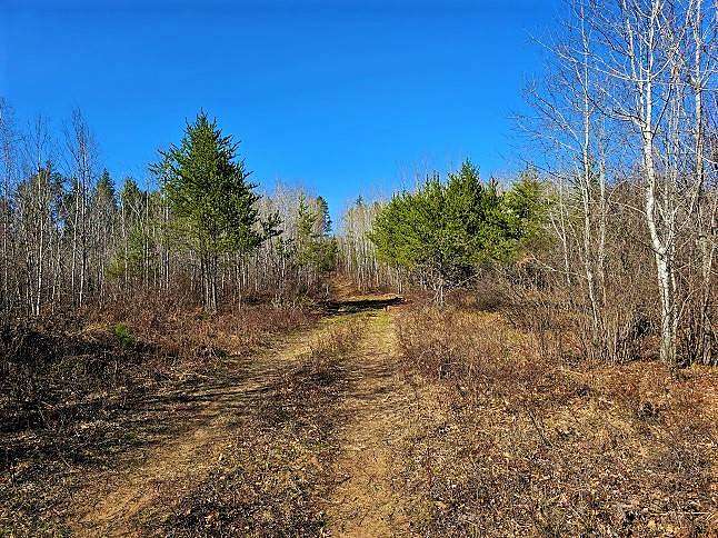6.3 Acres of Land for Sale in Tomahawk, Wisconsin