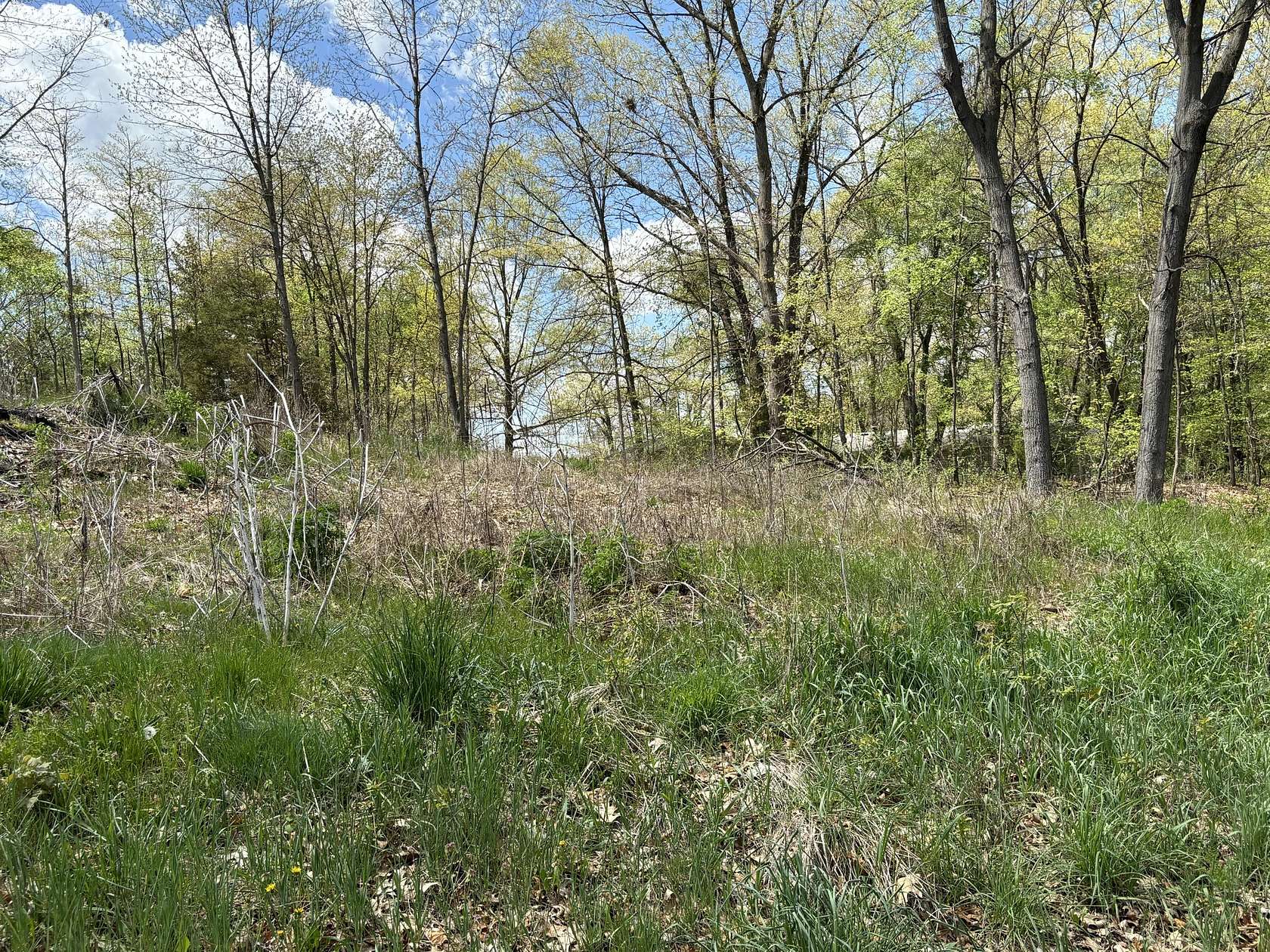 0.32 Acres of Residential Land for Sale in Coldwater, Michigan