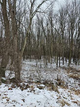 65 Acres of Recreational Land for Sale in Albion, Michigan