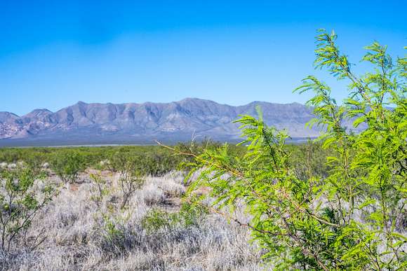5 Acres of Residential Land for Sale in McNeal, Arizona