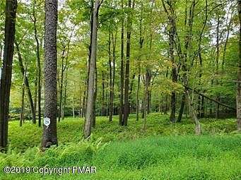 1.1 Acres of Residential Land for Sale in Pocono Lake, Pennsylvania