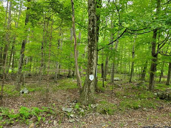 1.13 Acres of Residential Land for Sale in Pocono Lake, Pennsylvania