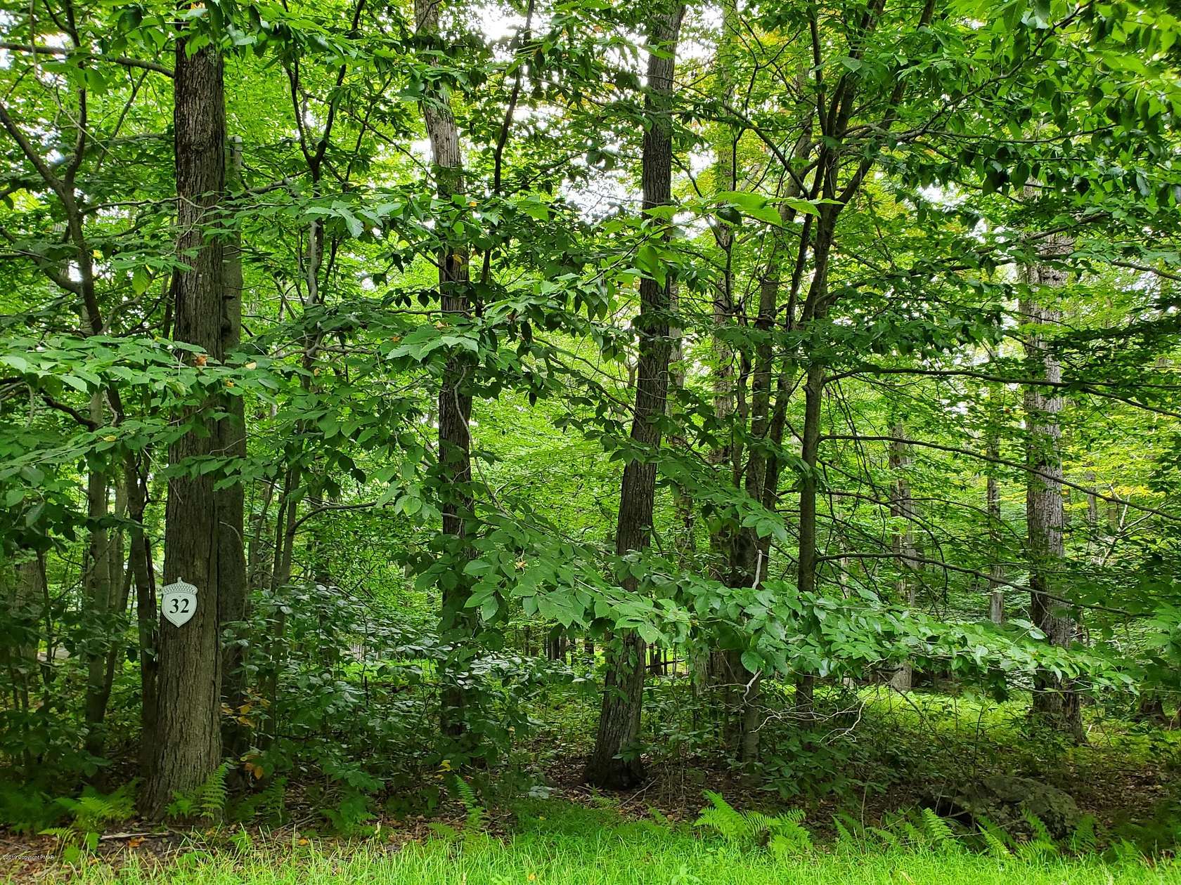 1.3 Acres of Residential Land for Sale in Pocono Lake, Pennsylvania
