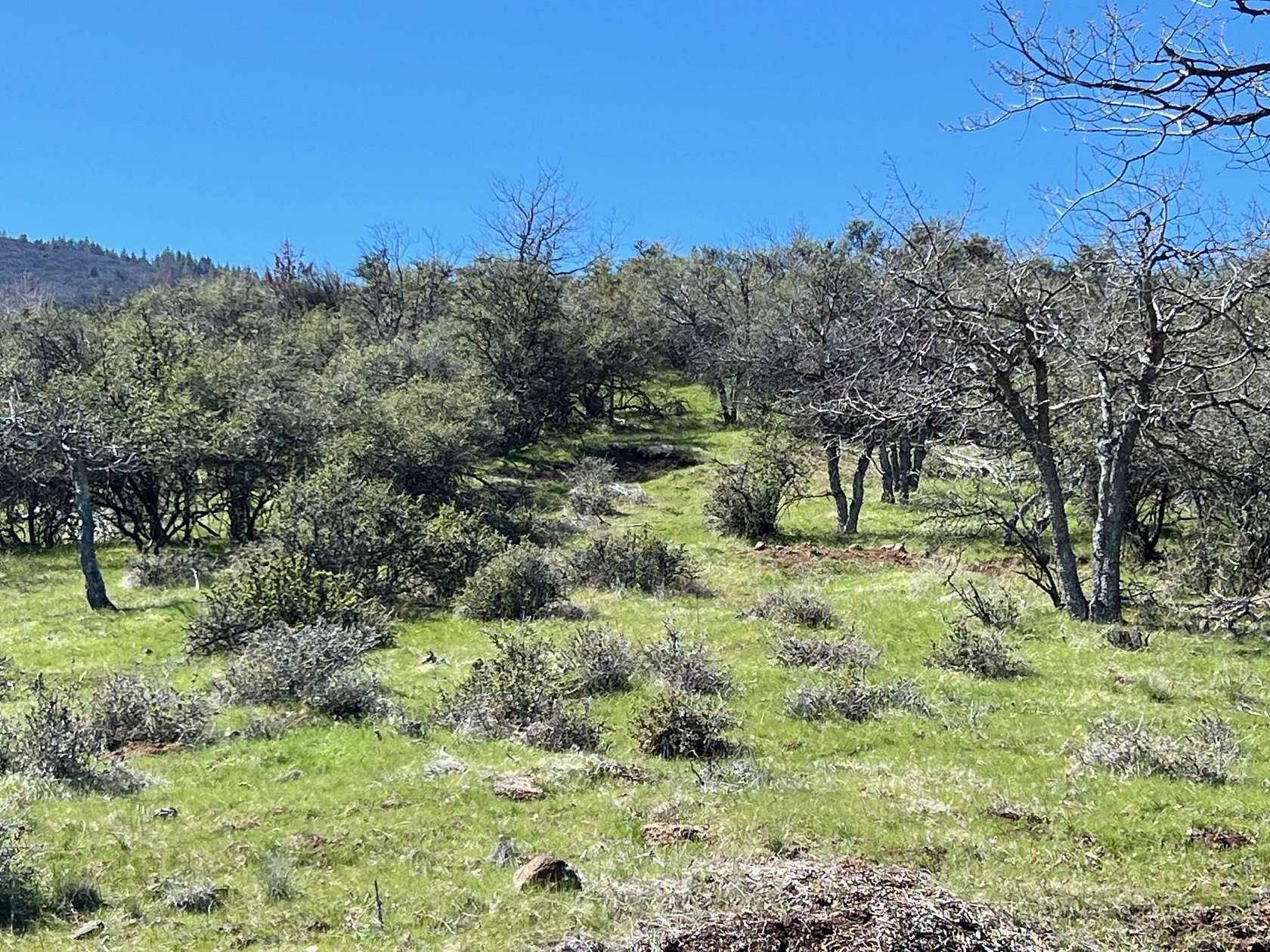 1.3 Acres of Land for Sale in Hornbrook, California