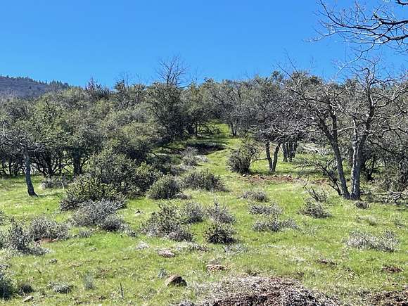 1.3 Acres of Land for Sale in Hornbrook, California