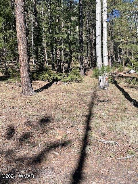 1 Acre of Residential Land for Sale in Greer, Arizona