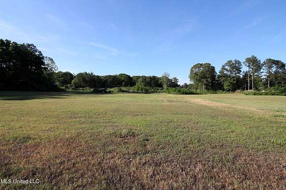 9 Acres of Residential Land for Sale in Holly Springs, Mississippi