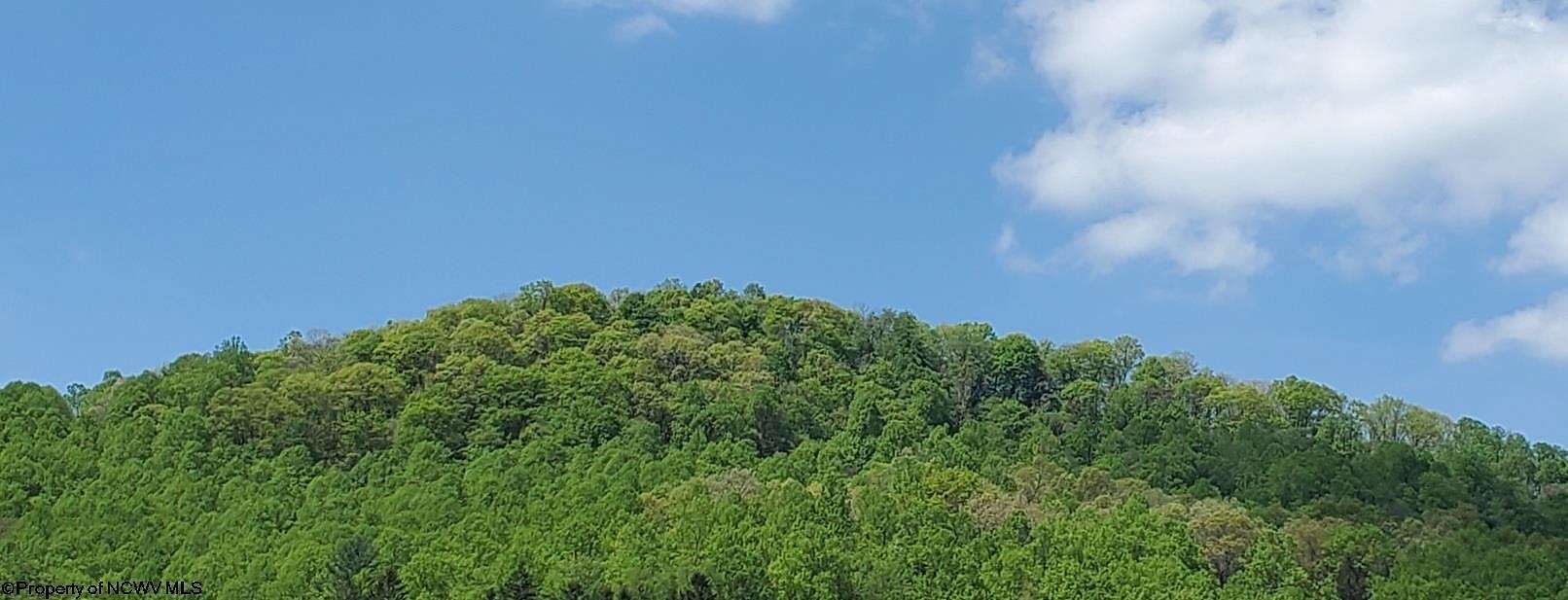 21.9 Acres of Land for Sale in Parsons, West Virginia