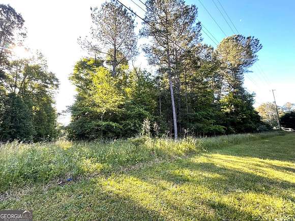 20.6 Acres of Agricultural Land for Sale in Elberton, Georgia