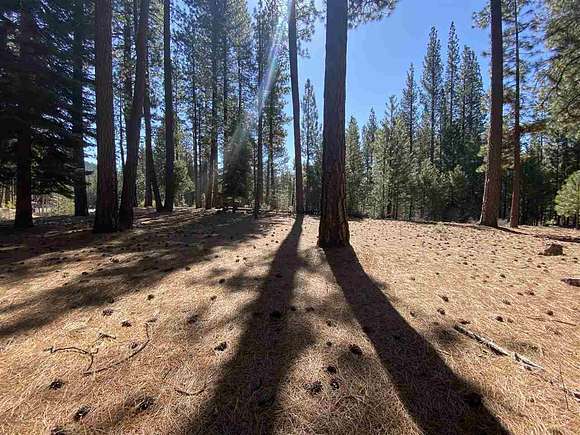 1 Acre of Residential Land for Sale in Clio, California