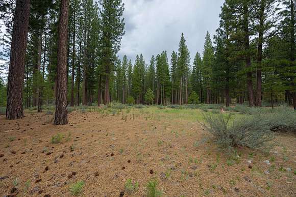 0.55 Acres of Residential Land for Sale in Clio, California