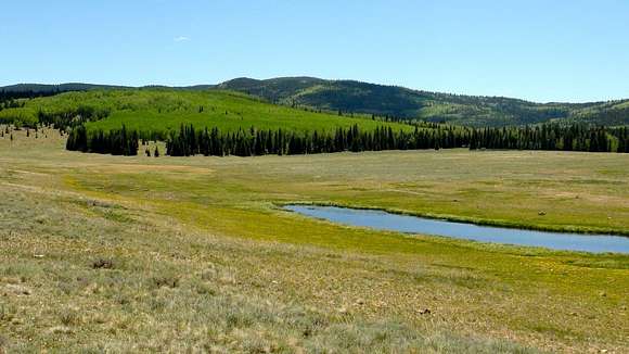 315 Acres of Recreational Land & Farm for Sale in Cimarron, Colorado