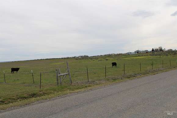 20 Acres of Agricultural Land for Sale in Shoshone, Idaho
