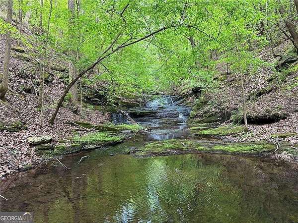 71 Acres of Agricultural Land for Sale in Rockmart, Georgia