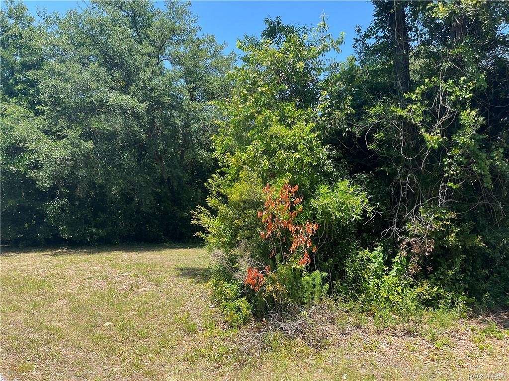 0.74 Acres of Residential Land for Sale in Inverness, Florida