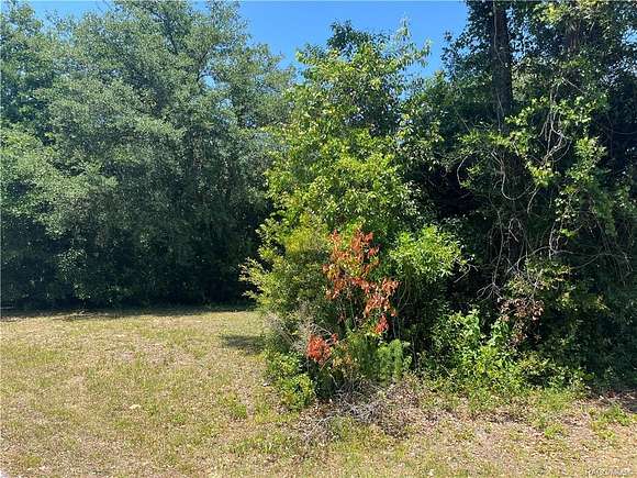 0.74 Acres of Residential Land for Sale in Inverness, Florida