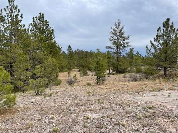 8.4 Acres of Residential Land for Sale in Custer, South Dakota