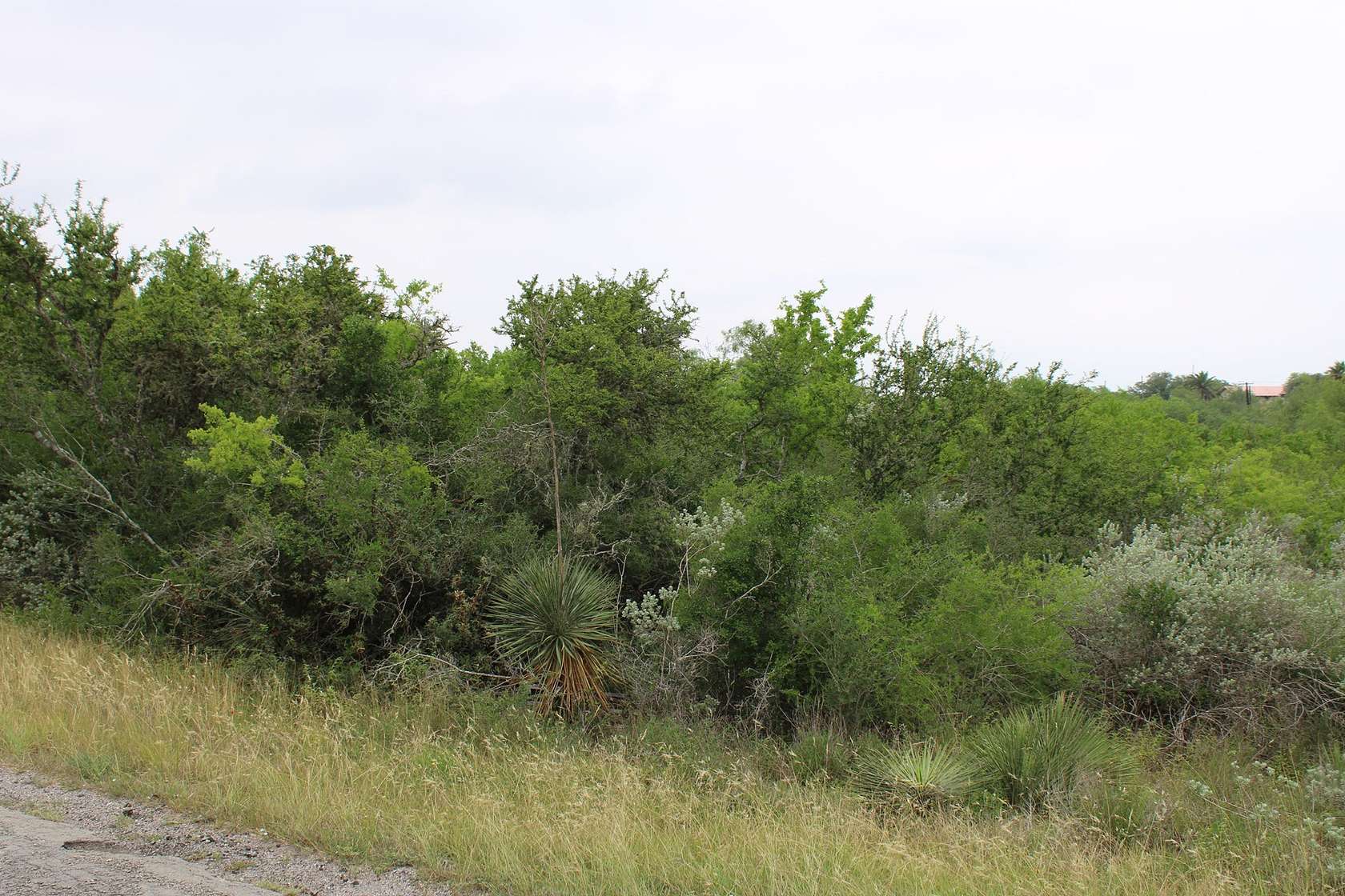 0.94 Acres of Residential Land for Sale in Sandia, Texas