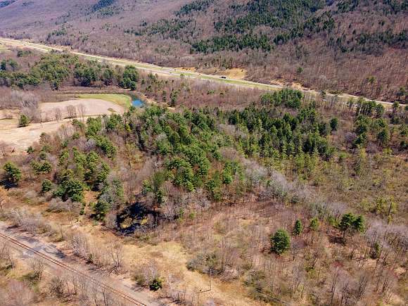 31.5 Acres of Land for Sale in Schenevus, New York