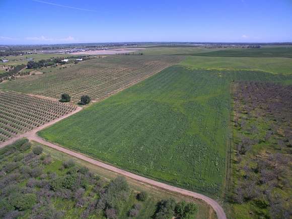 67.2 Acres of Recreational Land & Farm for Sale in Winters, California