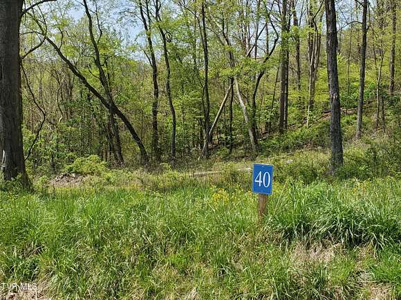 4.4 Acres of Residential Land for Sale in Butler, Tennessee