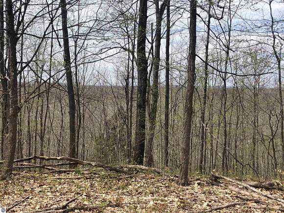 80 Acres of Land for Sale in Copemish, Michigan