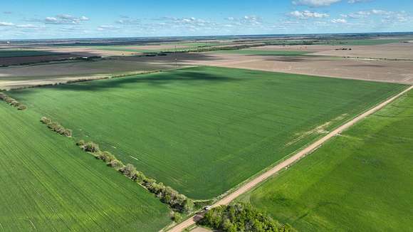 159 Acres of Agricultural Land for Auction in Ellsworth, Kansas