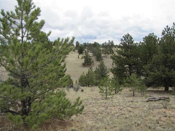 3 Acres of Residential Land for Sale in Hartsel, Colorado