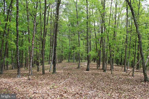 21.2 Acres of Recreational Land for Sale in Springfield, West Virginia