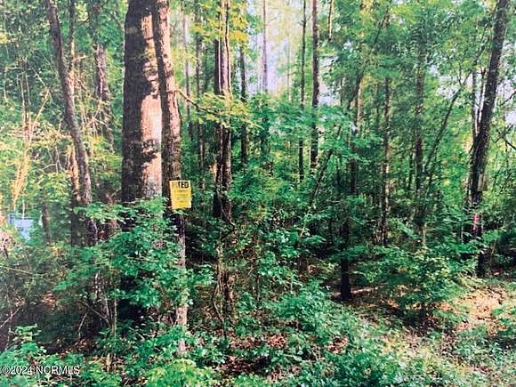 53.5 Acres of Land for Sale in Wallace, North Carolina