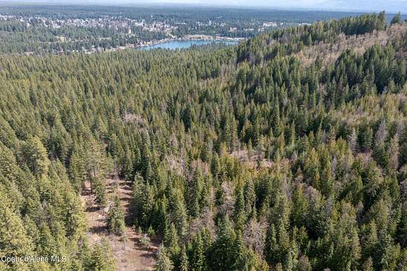 25 Acres of Land for Sale in Spirit Lake, Idaho