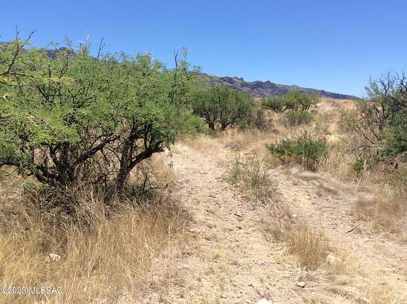 80 Acres of Land for Sale in Thatcher, Arizona