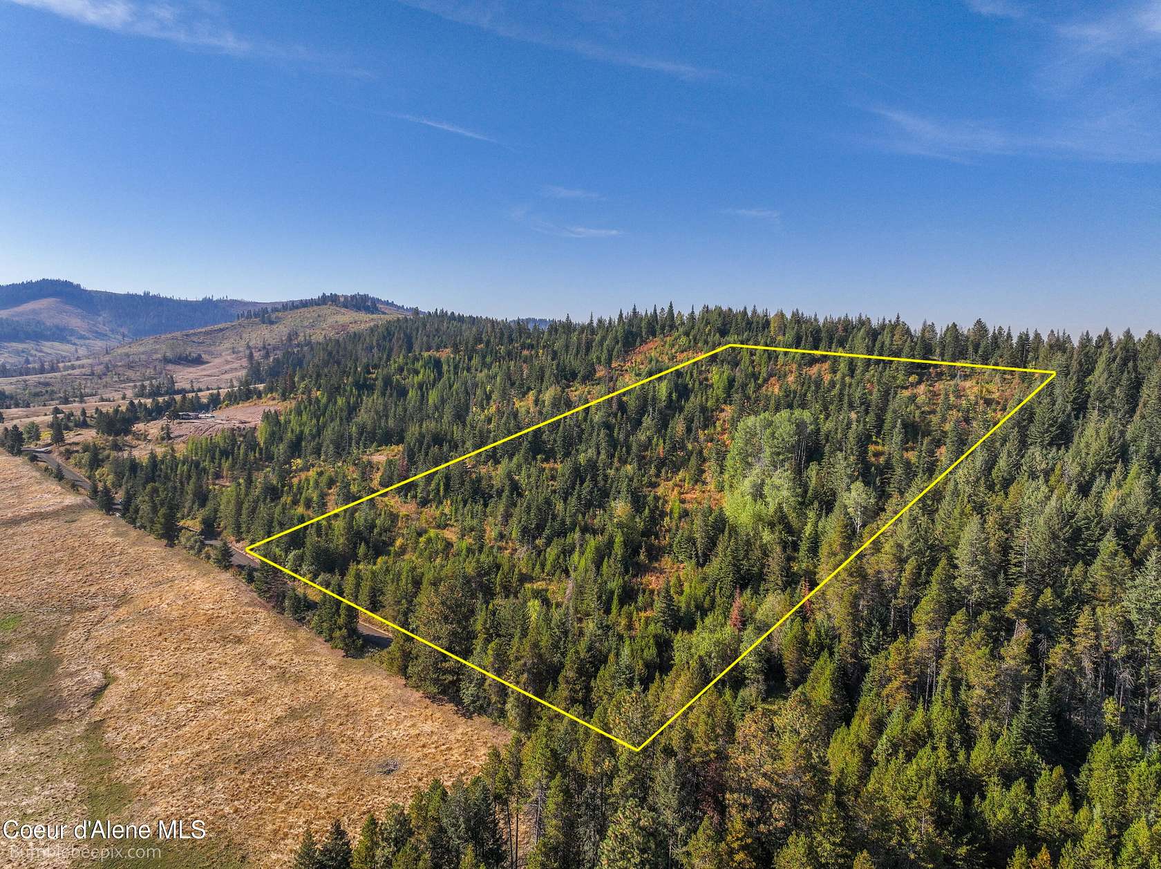 20 Acres of Recreational Land for Sale in Plummer, Idaho