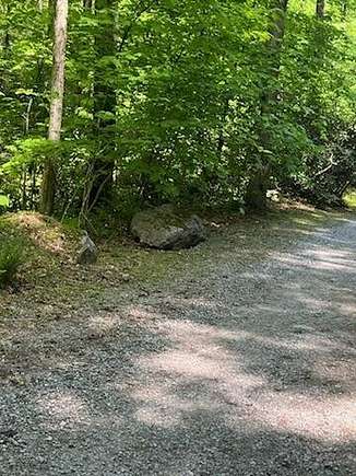 21 Acres of Recreational Land for Sale in Seymour, Tennessee