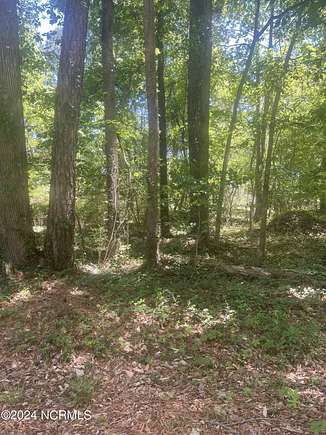 0.41 Acres of Residential Land for Sale in Rocky Mount, North Carolina