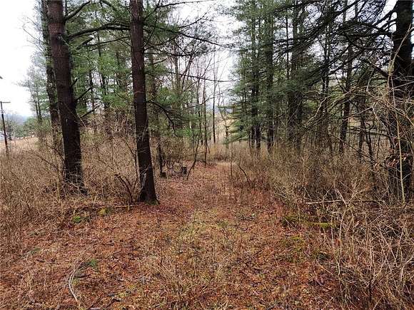 5.3 Acres of Residential Land with Home for Sale in Ithaca, New York