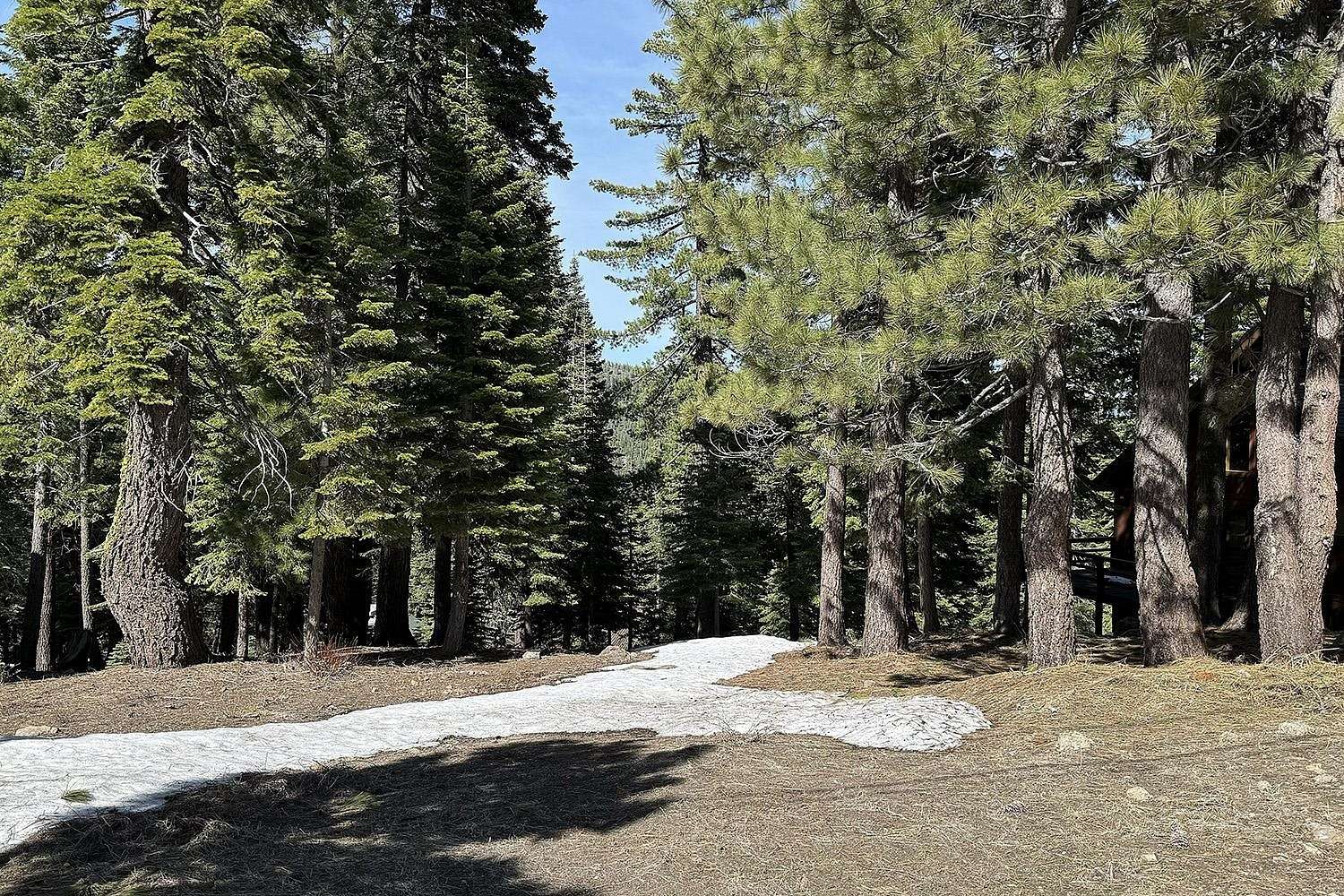 0.32 Acres of Residential Land for Sale in Truckee, California