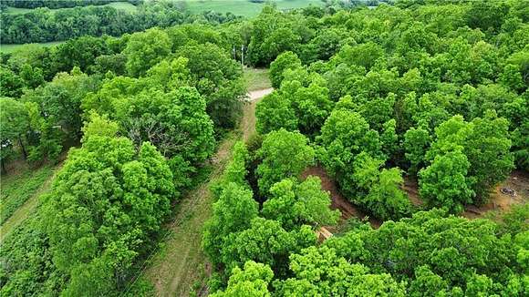 29.9 Acres of Recreational Land for Sale in Wesley, Arkansas