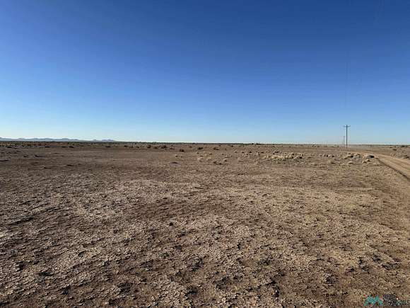 40 Acres of Land for Sale in Deming, New Mexico