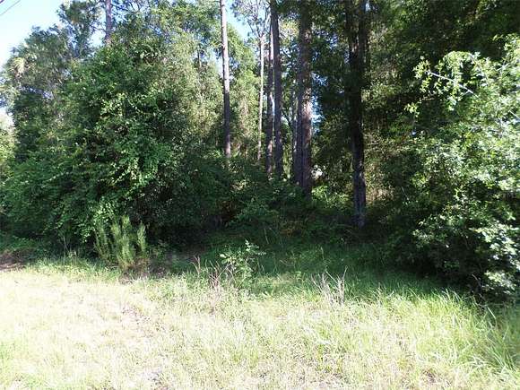 1.2 Acres of Commercial Land for Sale in Dunnellon, Florida