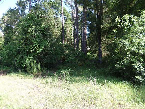 1.15 Acres of Commercial Land for Sale in Dunnellon, Florida