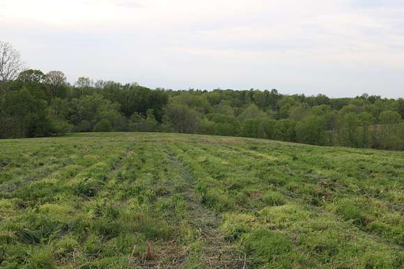 14.2 Acres of Land for Sale in Carlisle, Kentucky