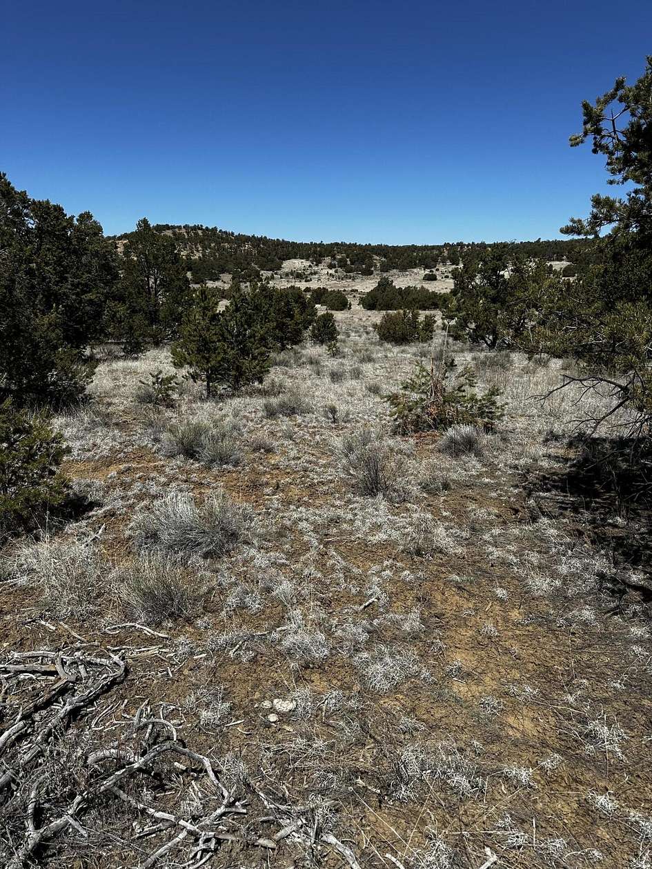 20.5 Acres of Land for Sale in Pie Town, New Mexico